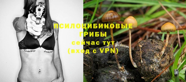 стаф Балахна