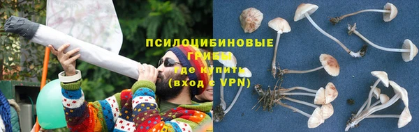 стаф Балахна