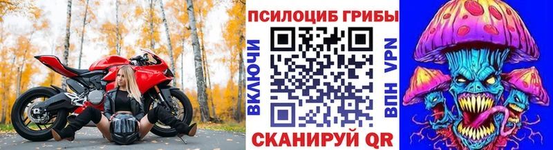 Псилоцибиновые грибы Psilocybe Обь