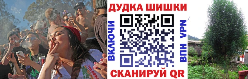 Каннабис Bruce Banner Обь